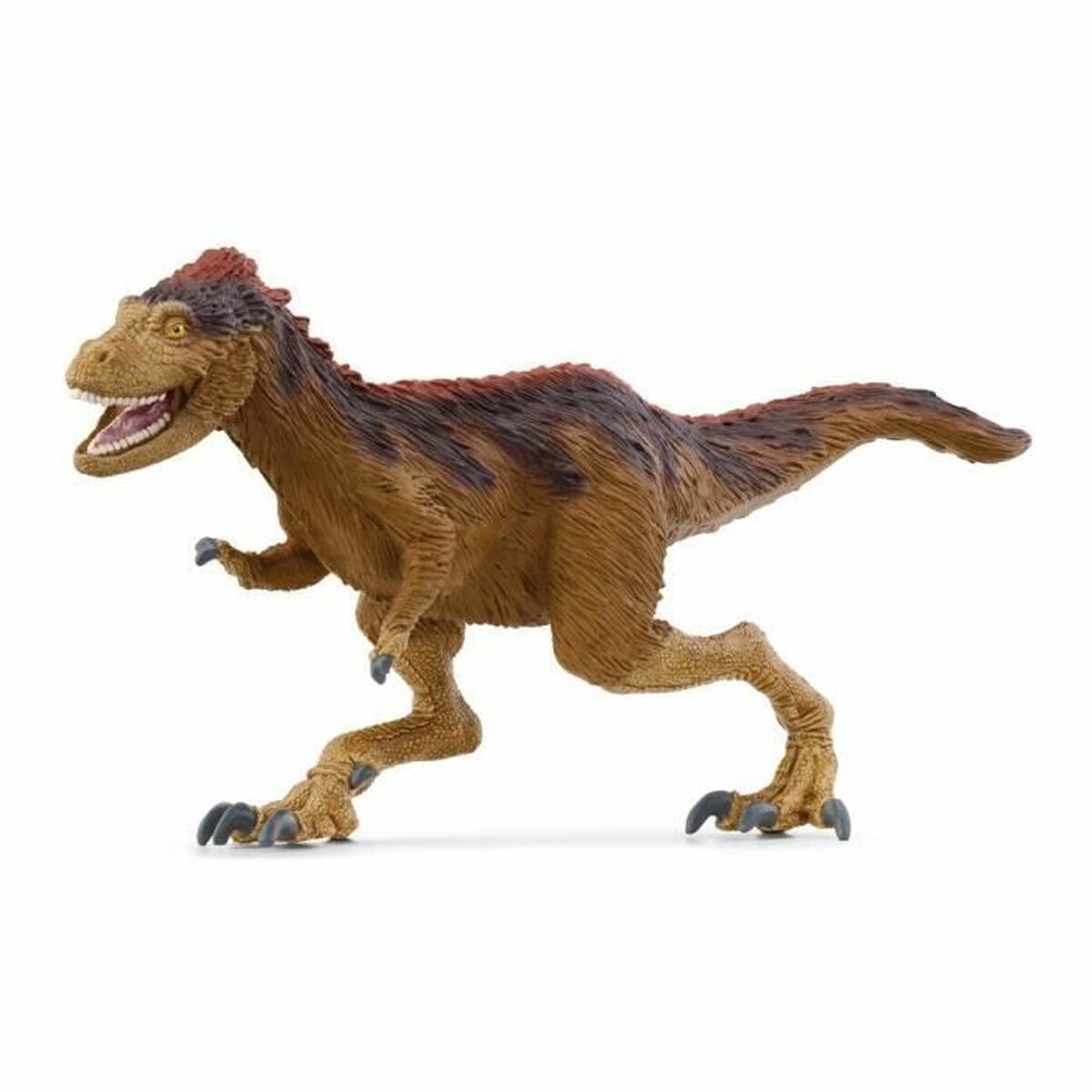 V7H7A906180C878C2B496702284F2C61E97R3878837P1